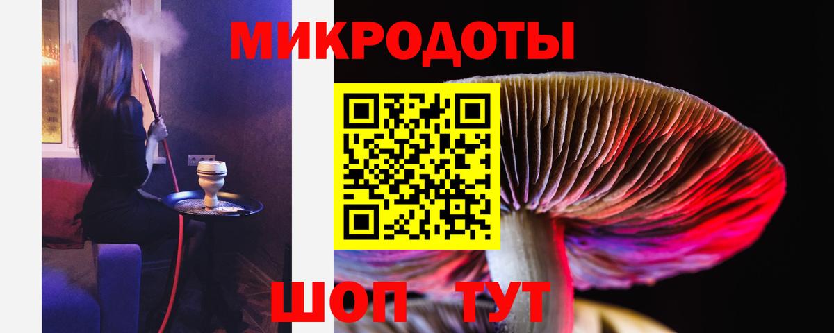 Галлюциногенные грибы прущие грибы Белебей